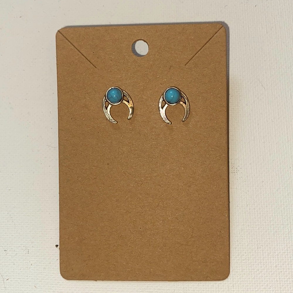cute turquoise horse shoe stud earrings